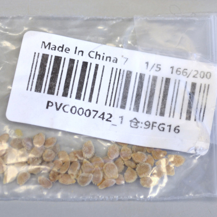Some mystery seeds identified, federal agencies investigating